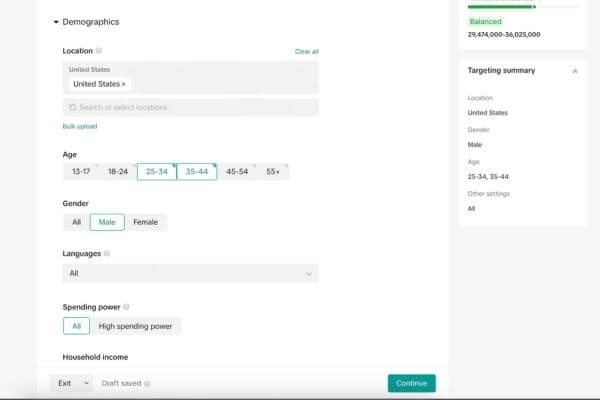 TikTok audience targeting interface